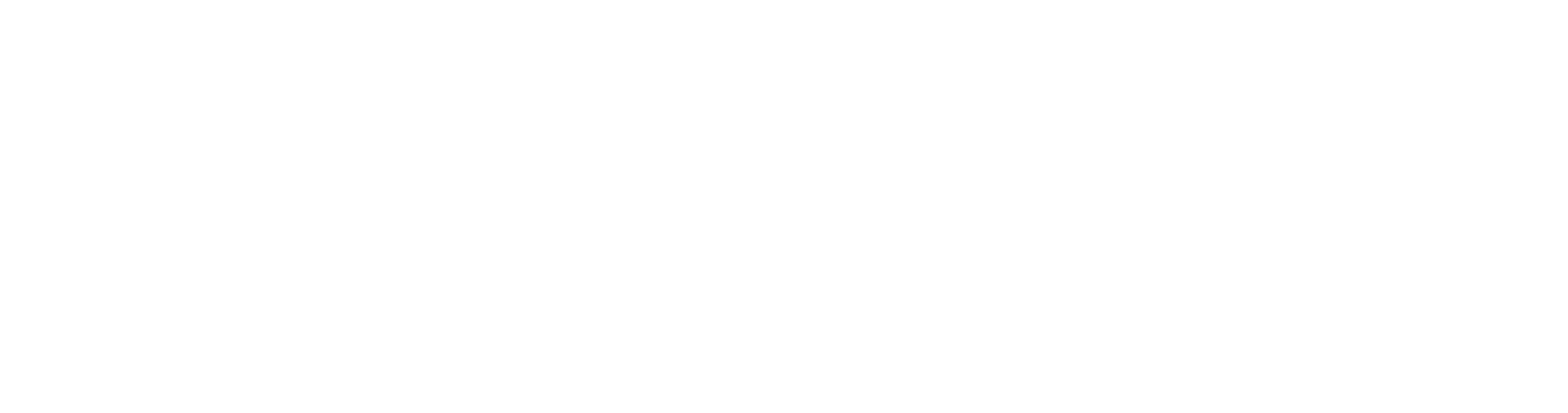 Elevate Web Designs